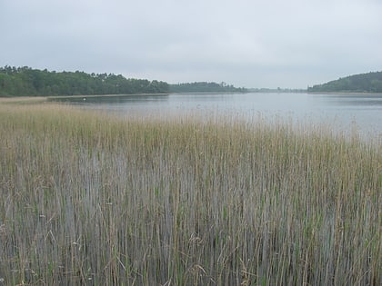 lago feisneck parque nacional muritz