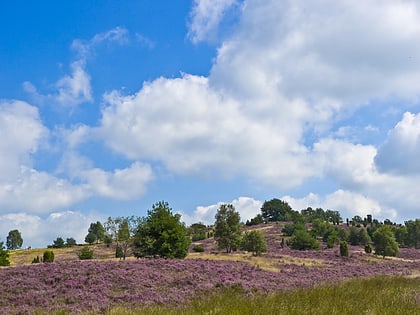 wilseder berg bispingen