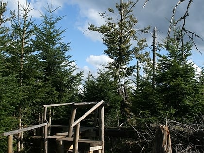 lotharpfad parc national de la foret noire