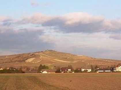 collines de la hesse rhenane alzey