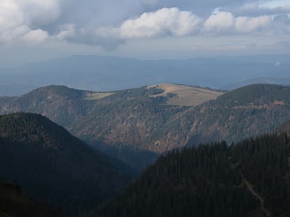 hinterwaldkopf