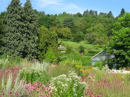 Jardín botánico de la Universidad de Wurzburgo