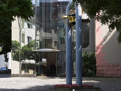 Musée d'histoire naturelle de Mayence