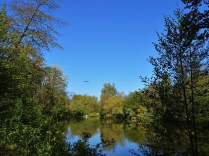 nymphaea esslingen am neckar