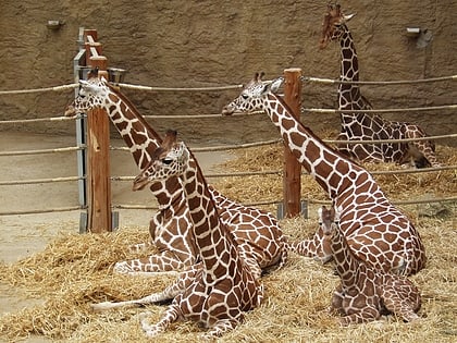 zoo duisburg duisburgo