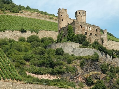 burg ehrenfels rudesheim am rhein