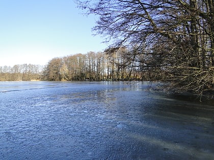 dummersee