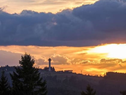 ettelsberg seilbahn willingen