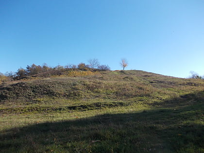 brandberge halle