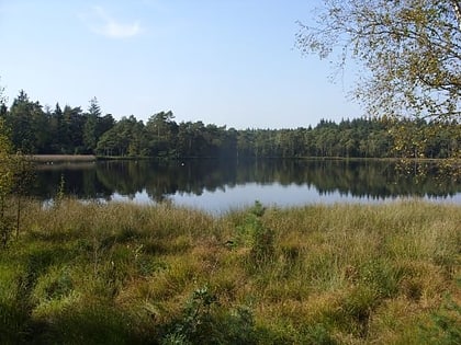 kleiner bullensee