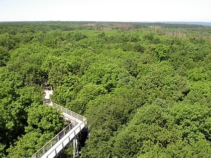 parque nacional hainich