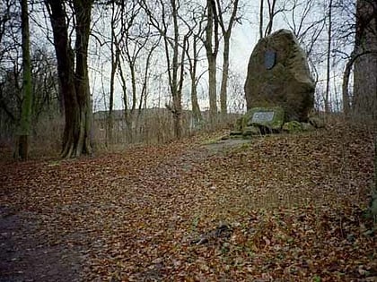 konigspfalz grona gottingen