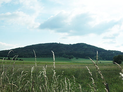 eisenberg