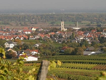 bodenheim