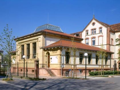 sammlung prinzhorn heidelberg