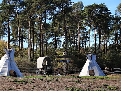 serengeti park hodenhagen