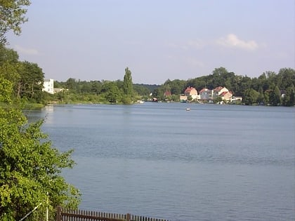 lychener stadtsee naturpark uckermarkische seen