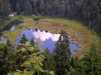 huzenbacher see park narodowy schwarzwaldu