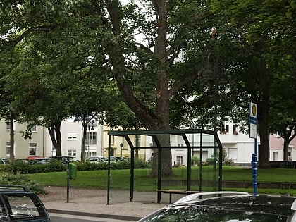 Chlodwigplatz