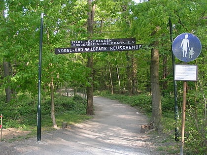 wildpark reuschenberg leverkusen
