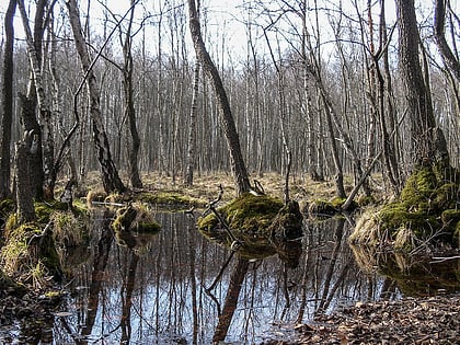 schorfheide chorin biosphere reserve