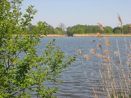 lago grossin