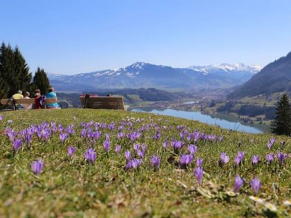 alpseehaus immenstadt im allgau