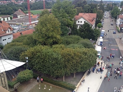 lindenanlage neuenstadt am kocher