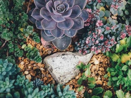 Garten- und Landschaftsgestaltung Hain