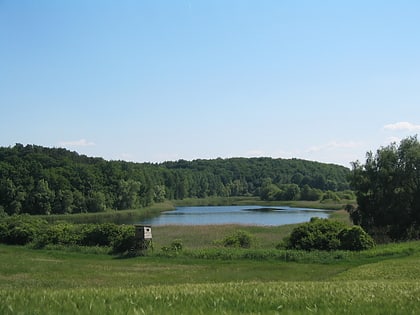 park krajobrazowy uckermark lakes