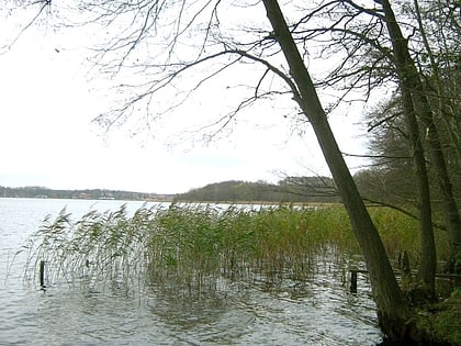 Lago Gudelack