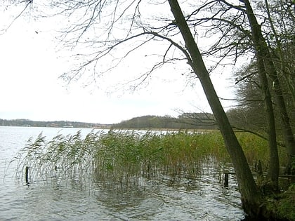 Gudelacksee