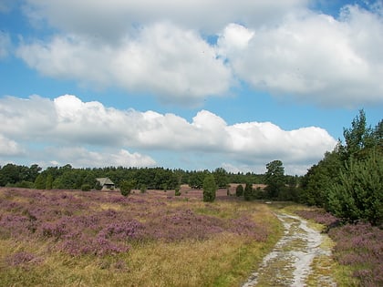 parc naturel de la lande de lunebourg