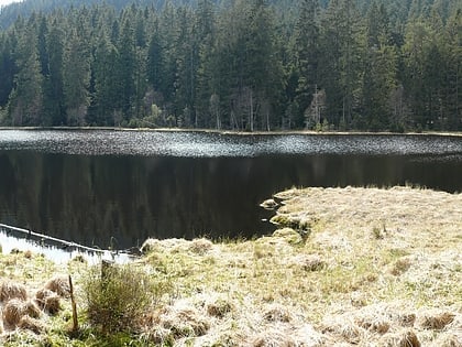 Lago Herrenwieser