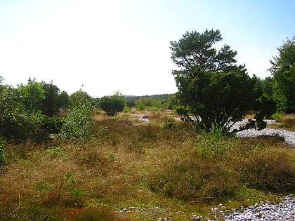 stone fields in the schmale heath and extension prora