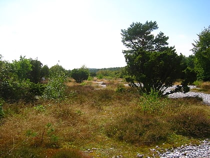 naturschutzgebiet steinfelder in der schmalen heide und erweiterung prora