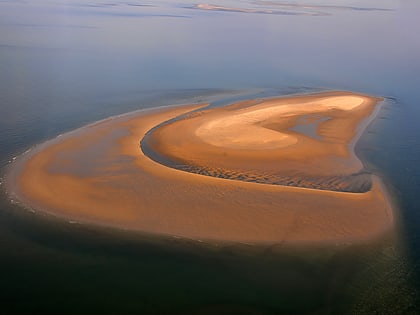 brauerplate park narodowy dolnosaksonskiego morza wattowego