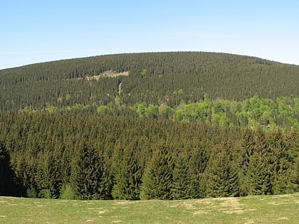 rehberg nationalpark harz