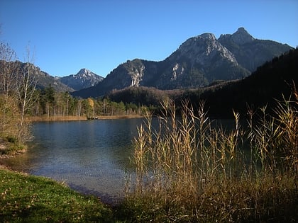 lago schwan schwangau