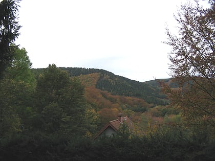 Forêt de Hürtgen