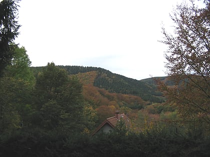 hurtgenwald