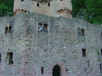 schwalbennest neckarsteinach