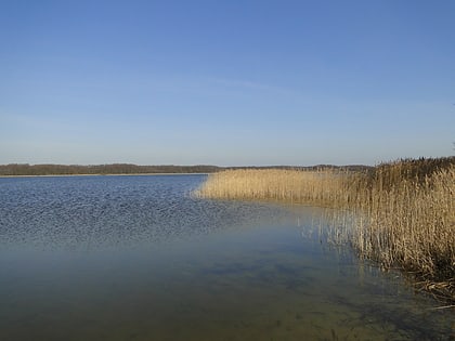 lago massower