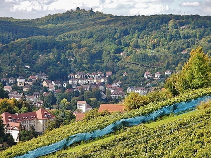 birkenkopf stuttgart