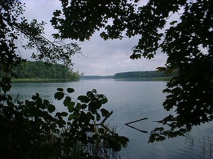 lago sacrower potsdam