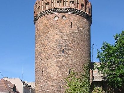 steintorturm ciudad de brandeburgo