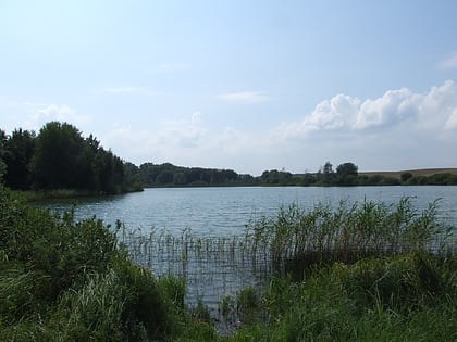 Lago Berliner