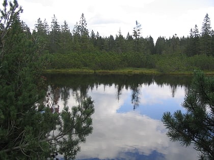 lago latschen parque nacional del bosque bavaro