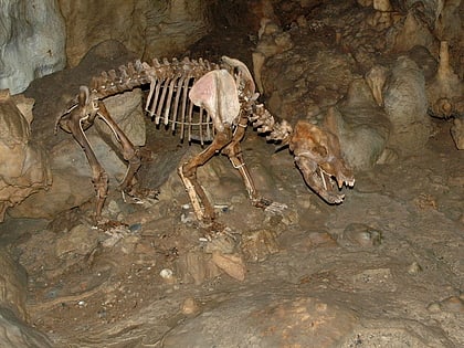 bears cave sonnenbuhl