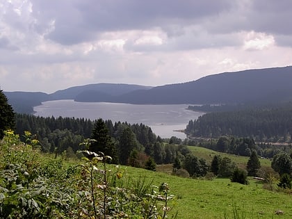 Lac de Schluch